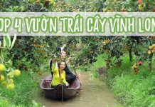 Tổng hợp danh sách các vườn trái cây gần cầu Mỹ Thuận – Vĩnh Long Tổng hợp danh sách các vườn trái cây gần cầu Mỹ Thuận - Vĩnh Long