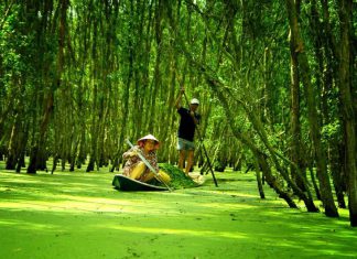 Du lịch miền Tây hấp dẫn 2025 du lịch mien tay