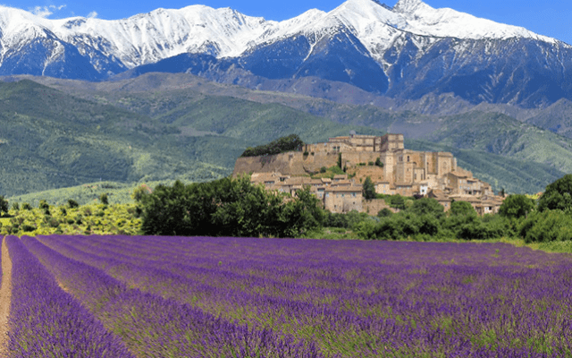 Đắm mình trước vẻ đẹp thơ mộng đầy lãng mạn của vùng Provence nước Pháp Đắm mình trước vẻ đẹp thơ mộng đầy lãng mạn của vùng Provence nước Pháp