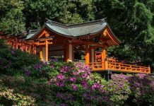 Vẻ đẹp của đền Nezu – “viên ngọc quý” nằm giữa lòng Tokyo Nhật Bản Vẻ đẹp của đền Nezu - “viên ngọc quý