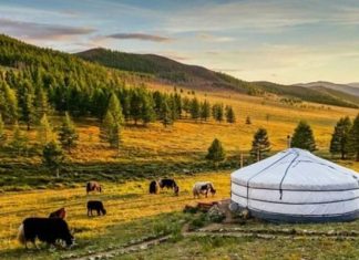 Cảnh quan tuyệt đẹp tại vườn quốc gia núi Khan Khentii Mông Cổ Cảnh quan tuyệt đẹp tại vườn quốc gia núi Khan Khentii Mông Cổ